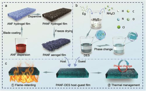 海南大學廖建和：阻燃主客體氣凝膠薄膜用于低溫設備有效熱管理